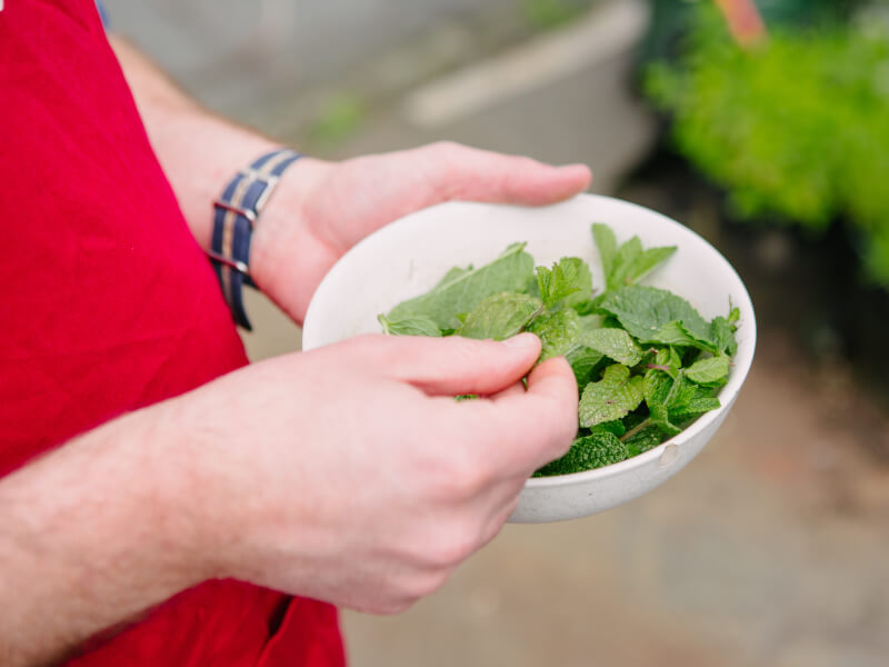 Man holding a bowl of grown herbs